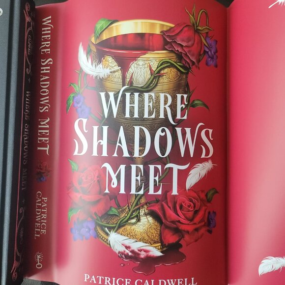**NEW & SIGNED** Where Shadows Meet by Patrice Caldwell, Fairyloot,Bonus Chapter - Picture 12 of 14